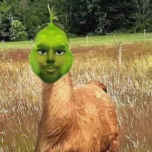 Meet your Posher, Michaela